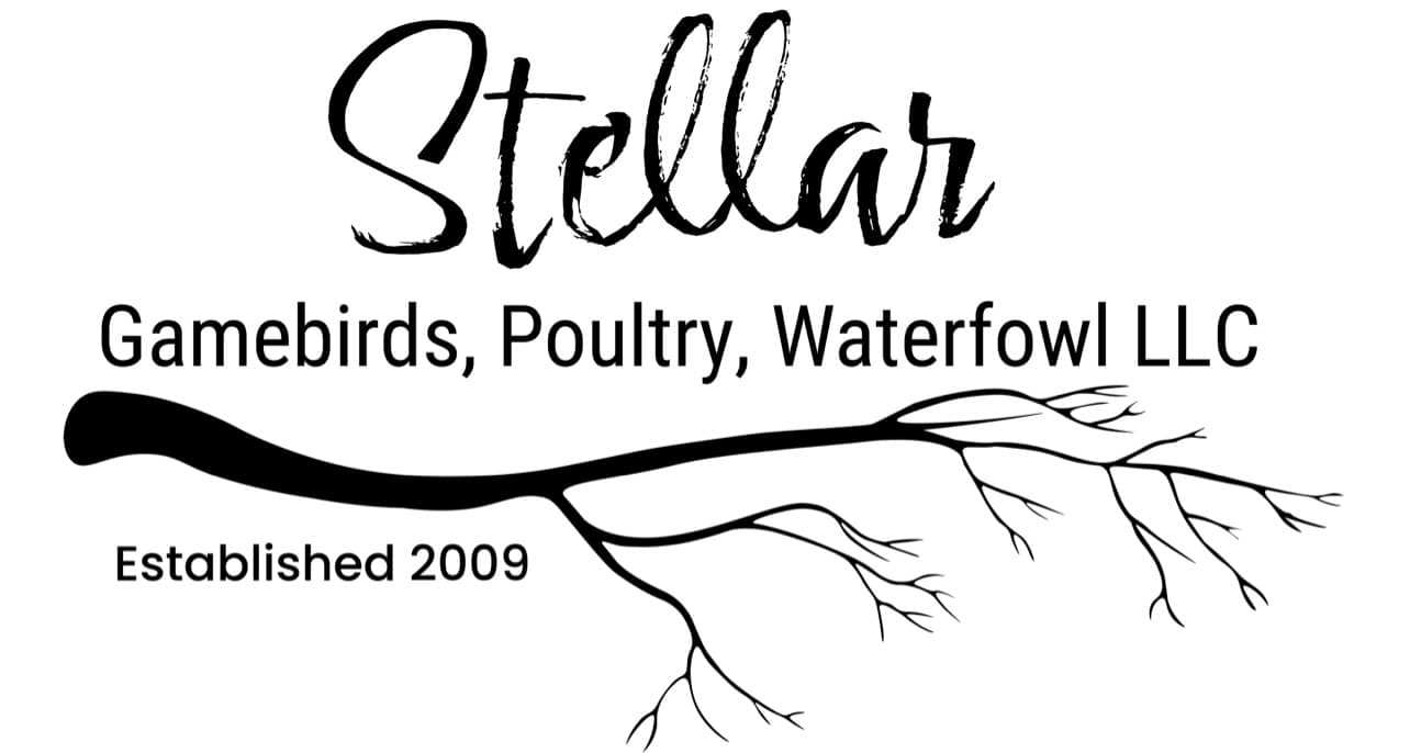 Stellar Game Birds, Poultry Waterfowl LLC